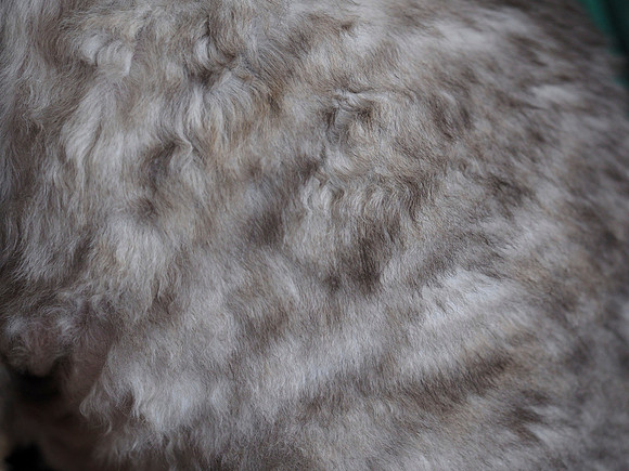 Tinsel