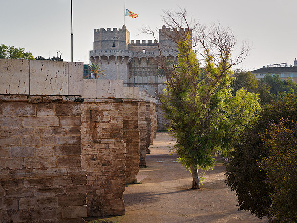 Serranos Towers