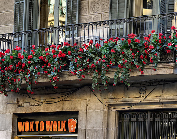 Gothic Quarter. Barri Gótic