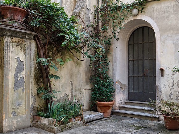 Florence 3