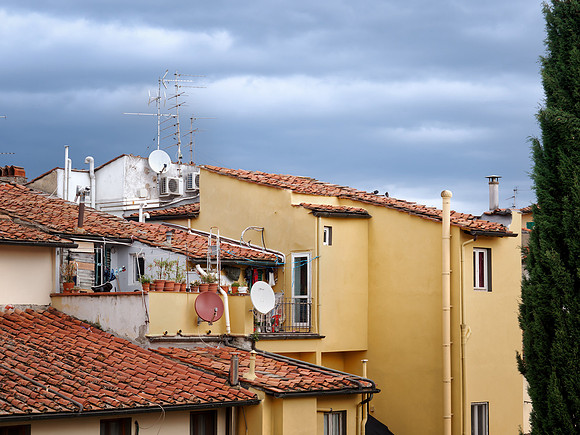Roof Tops