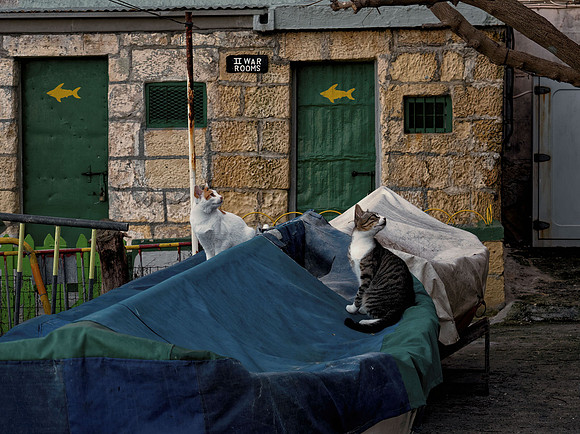 Valletta - Wuestenwinds beach