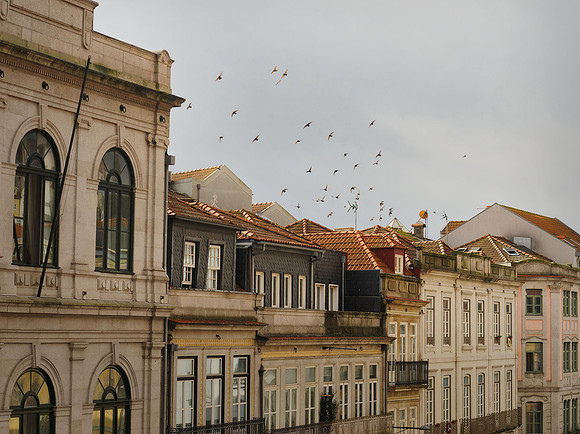 View from the rental apartment on R. de Mouzinho da Silveira
