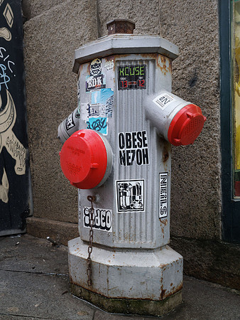 Fire hydrant on R. da Flores