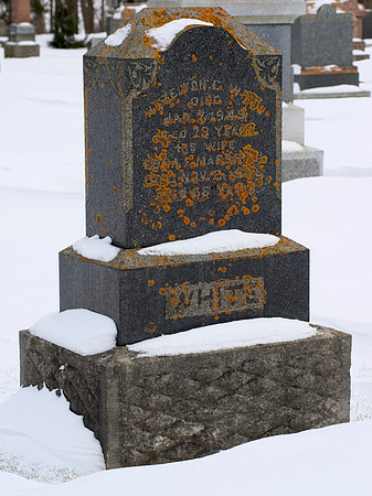 St. Mary's Cemetary