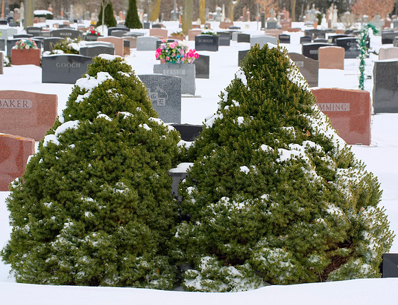 St. Marys Cemetary
